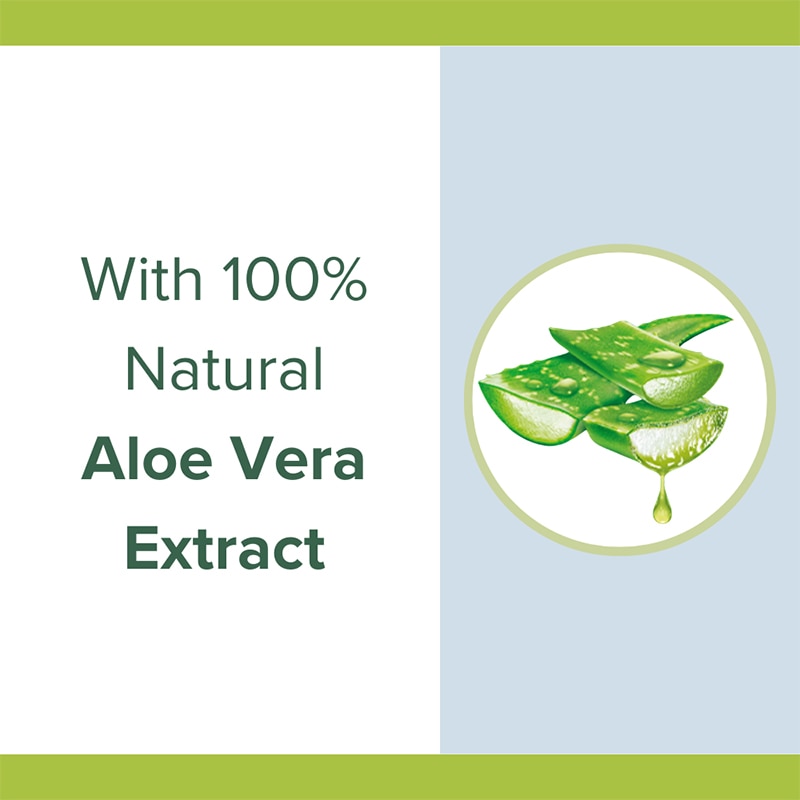 aloe vera aloe vera