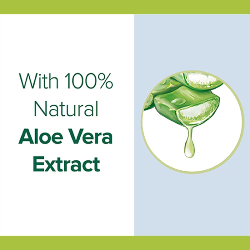 aloe vera aloe vera