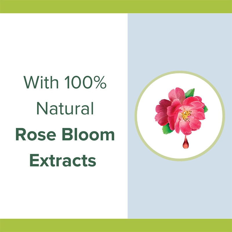 Rose bloom extract