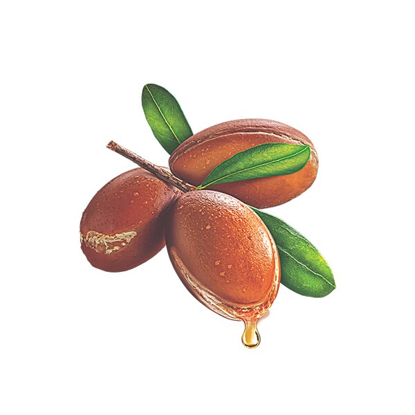 argan argan
