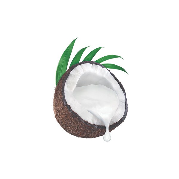 coconut cream coconut cream