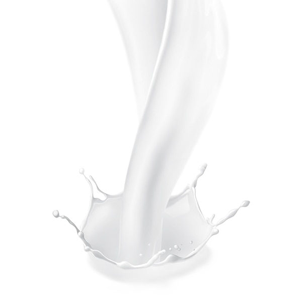 Milk Protein Milk Protein