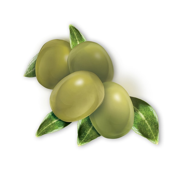 Natural olive extract