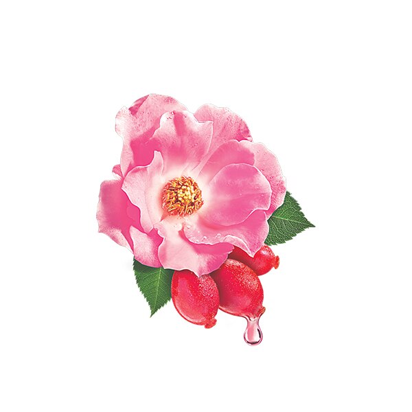 Rosehip Rosehip