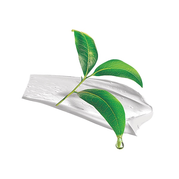 Tea tree Tea tree