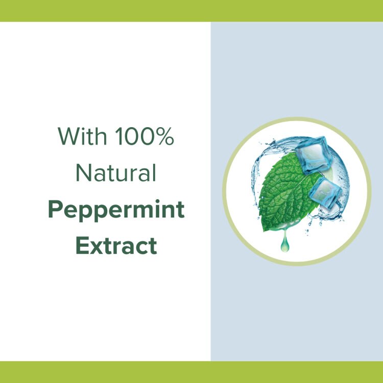 NATURAL PEPPERMINT EXTRACT NATURAL PEPPERMINT EXTRACT